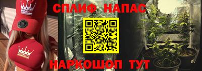 mdpv Обнинск
