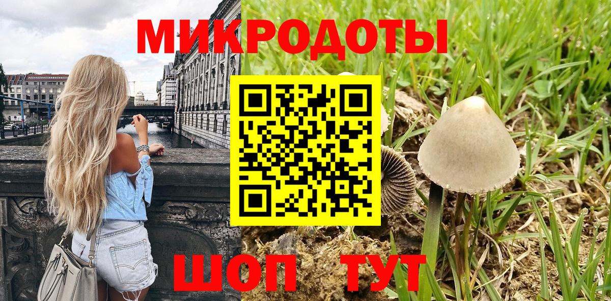 Псилоцибиновые грибы прущие грибы Сатка