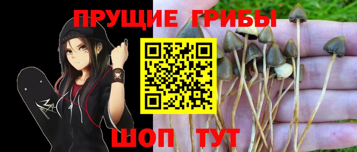 Псилоцибиновые грибы мухоморы  Псилоцибиновые грибы Magic Shrooms  закладки  Сатка  Вход с VPN 